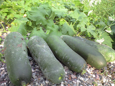 f0135908_7245814.jpg