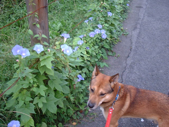 f0173908_11395061.jpg