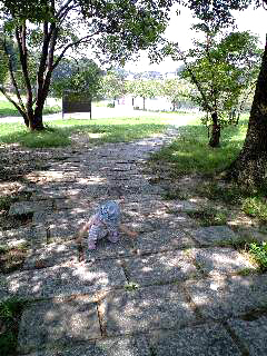 a0052011_23343156.jpg