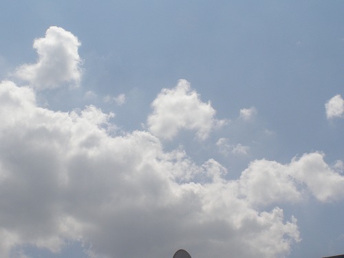 d0147812_11293850.jpg