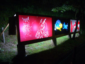 c0062315_223652.jpg