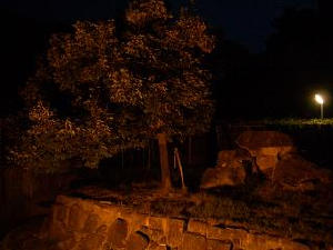 c0062315_2238137.jpg