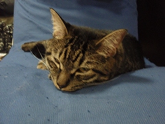 c0145016_2022821.jpg