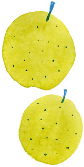 f0135024_20884.jpg