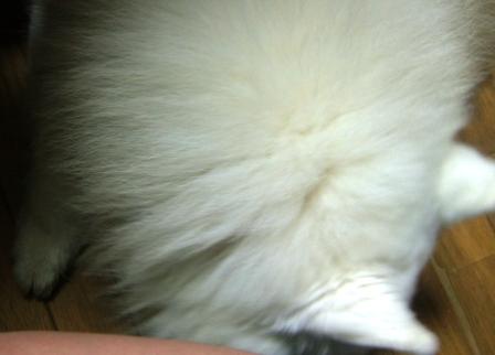 e0024126_20392456.jpg