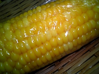 f0083726_1318744.jpg