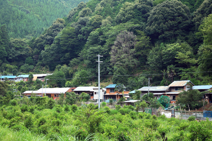 d0147530_5193244.jpg