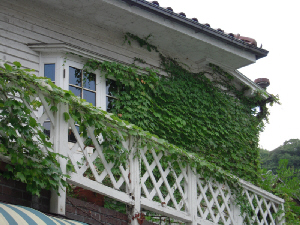 d0017632_17204917.jpg