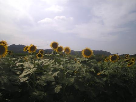 a0074938_23312692.jpg