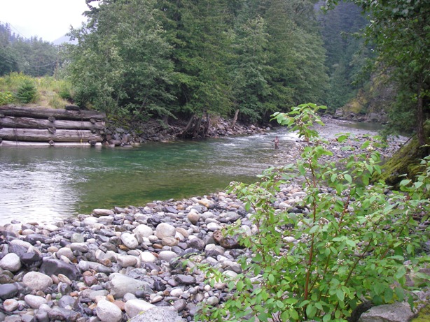 f0084544_6254260.jpg