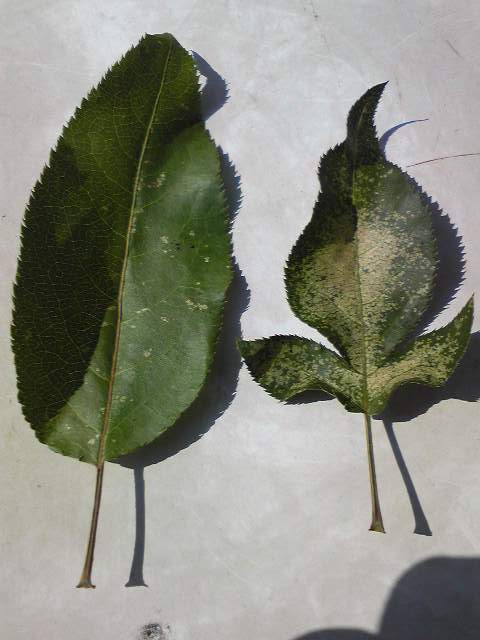 d0022845_9371425.jpg