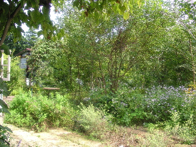 c0132646_16522032.jpg