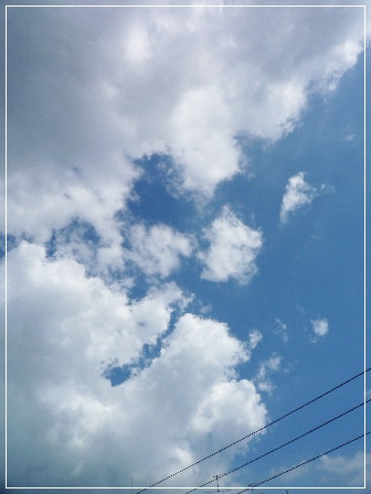 d0013149_7364422.jpg