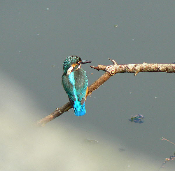 d0091754_20392915.jpg
