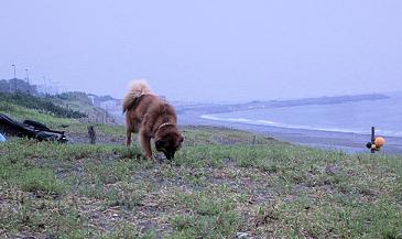 f0034156_20595771.jpg