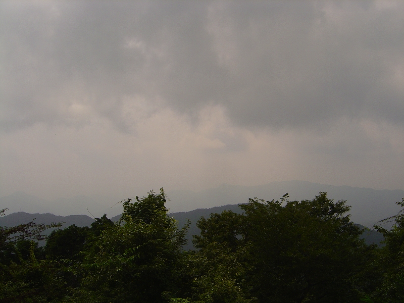 f0142558_1402346.jpg