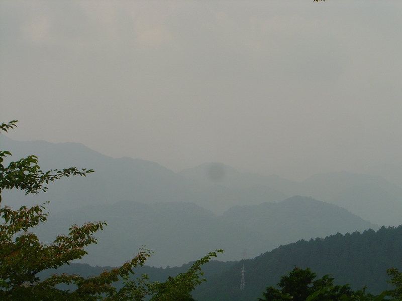 f0142558_1403721.jpg