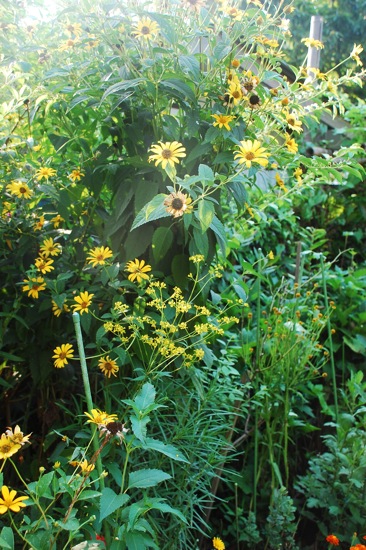 f0176458_7212992.jpg
