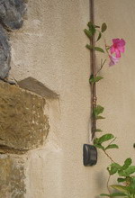 c0161459_23185269.jpg