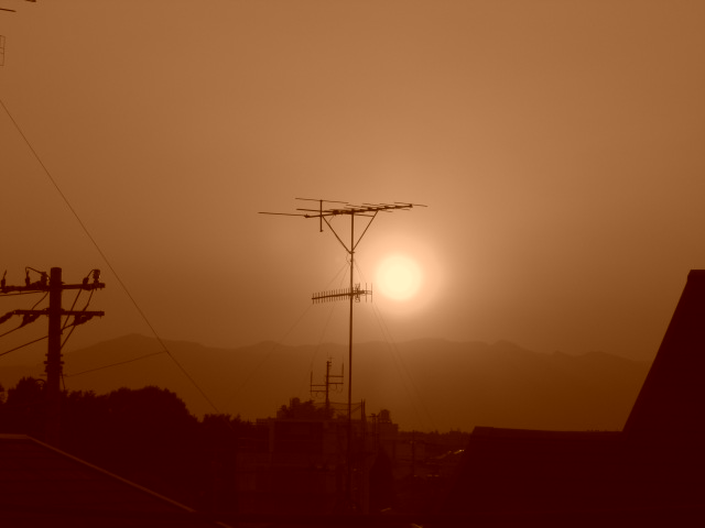 c0169360_15363.jpg