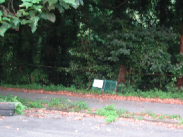 d0094868_18301522.jpg