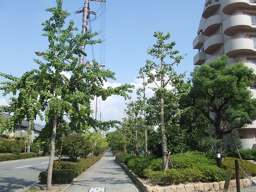 e0068274_1503731.jpg