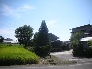 d0129083_23593545.jpg