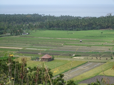 b0101284_19471878.jpg