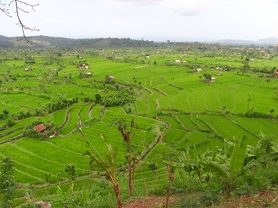 b0101284_21554158.jpg