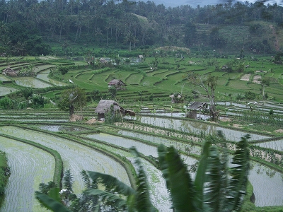 b0101284_2219666.jpg