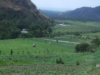 b0101284_2224992.jpg