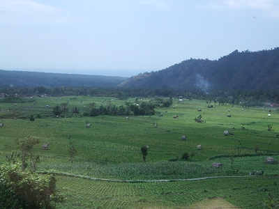 b0101284_23363367.jpg
