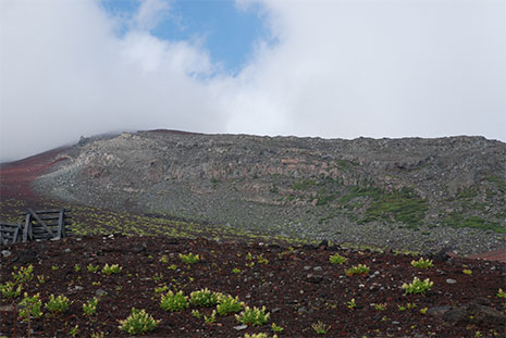 b0054886_22405937.jpg