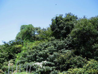 d0147488_9434228.jpg