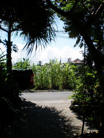 c0153292_0385539.jpg