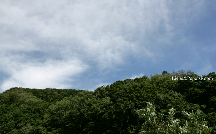 f0001895_16111212.jpg