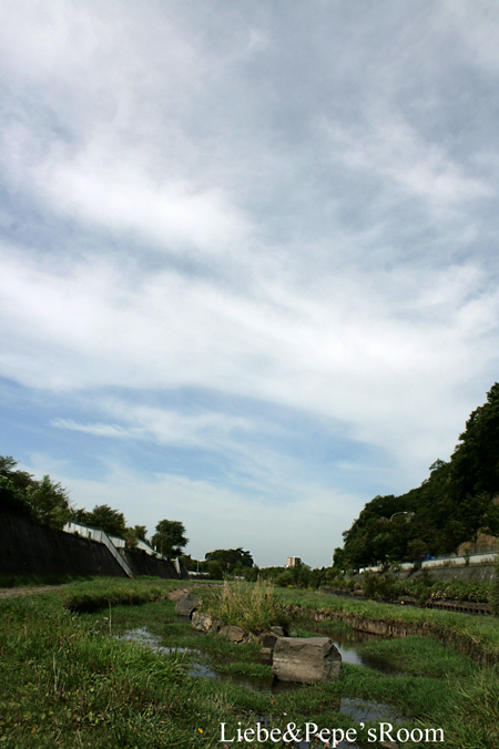 f0001895_1712457.jpg