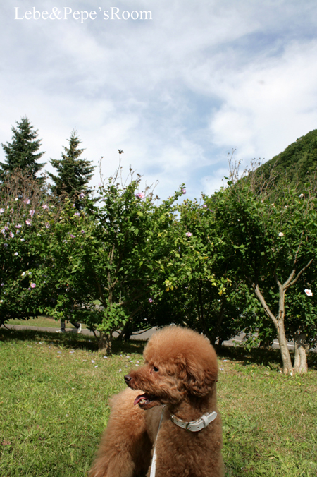 f0001895_17133553.jpg