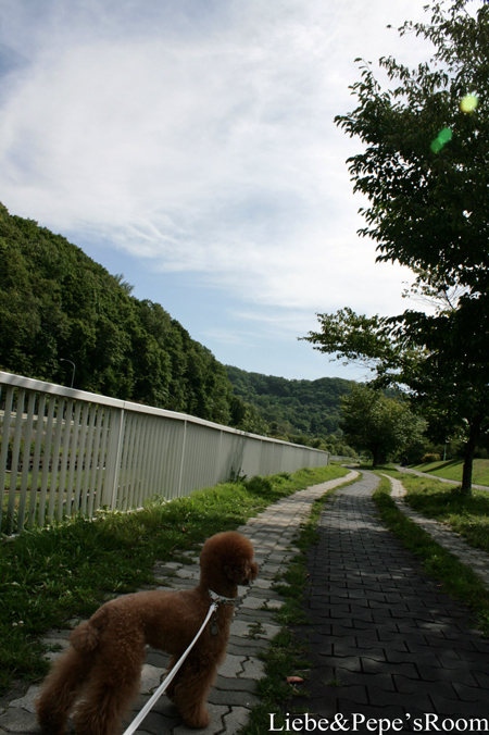 f0001895_1731898.jpg