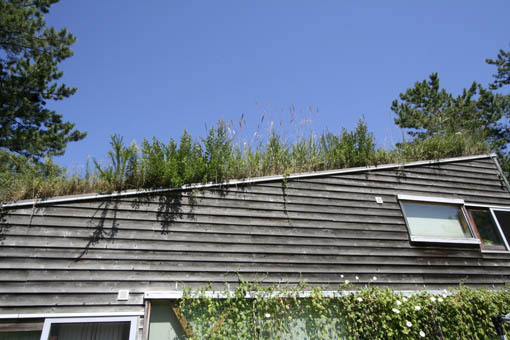 e0054299_12343040.jpg