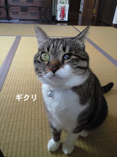 c0035001_1444134.jpg