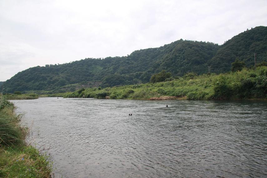 f0034602_2025569.jpg