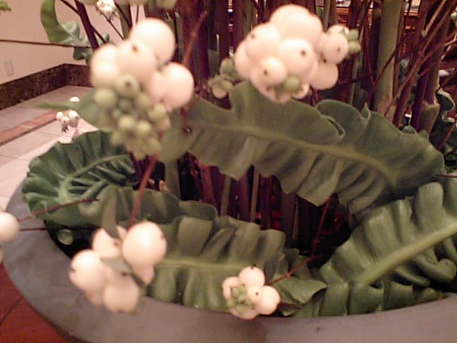 d0054704_0105114.jpg