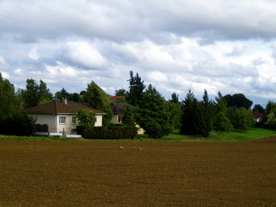 d0135907_1232236.jpg
