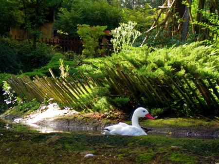 d0135907_249392.jpg