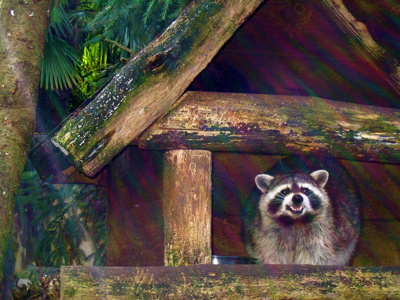 d0135907_2551063.jpg