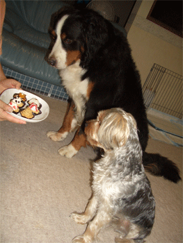 c0143711_20272390.gif
