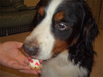 c0143711_2035367.gif