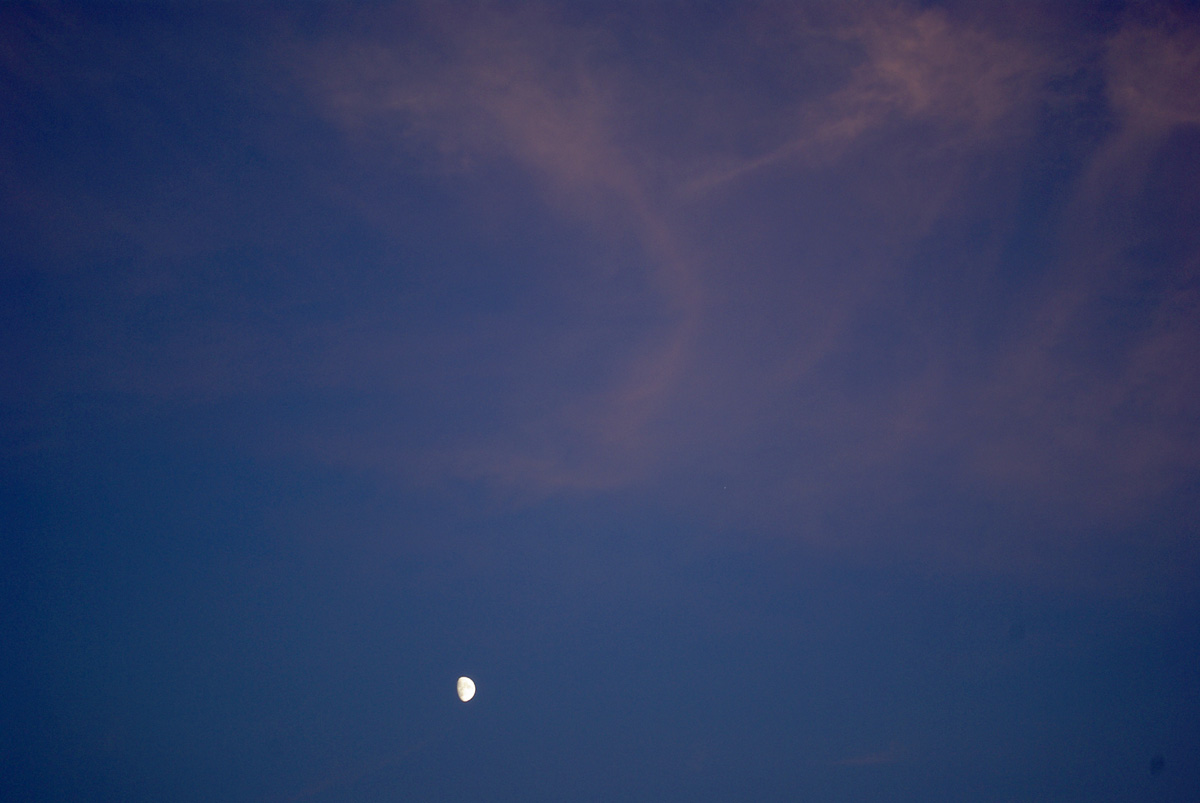 e0142611_2249042.jpg