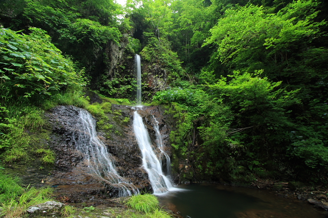 e0121814_057945.jpg